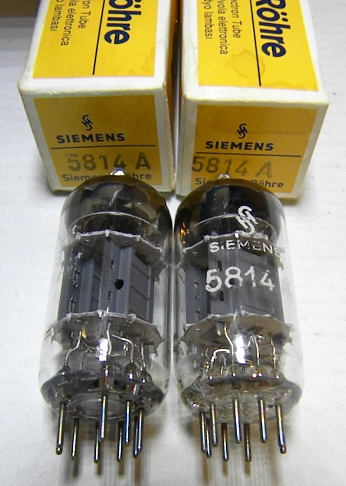 シーメンス Siemense E82cc Triple Mica 12AU7 | ttcih.ac.tz